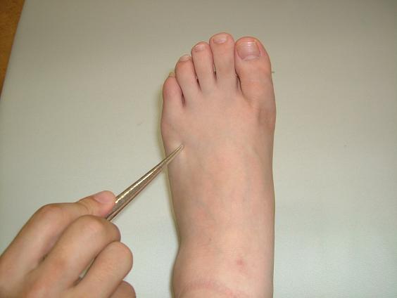 �Ջ����̎挊�ʐ^